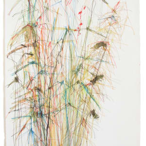 Reeds and Whispers by Michael Rich