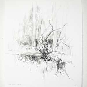 House Guests by Michael Rich, Image 2.