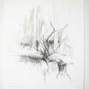 House Guests by Michael Rich, Image 3.