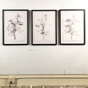 Ziggy's Tree III by Michael Rich  Image: Ziggy's Tree I, II & II, 2021, mixed media on paper, 20 x 13 in each