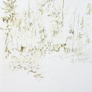 Pathway by Michael Rich, Image 2.