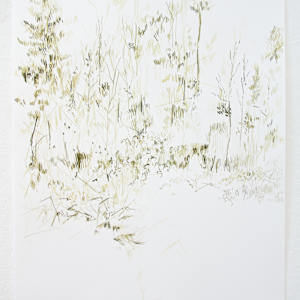 Pathway by Michael Rich, Image 1.
