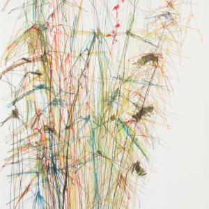 Reeds and Whispers by Michael Rich  Image: Reeds and Whispers, 2015, colored pencil, 39 x 28 in