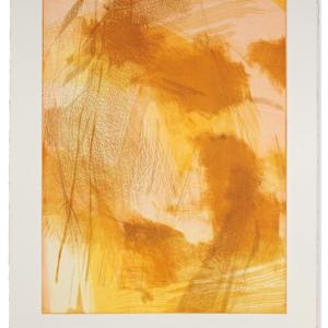 Sketches from Venice II by Michael Rich  Image: Sketches from Venice II, 2016, intaglio monoprint, 24 x 18 in