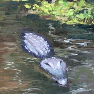 Milisa's Gator