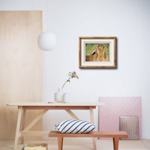 Ancient Hare Wisdom by Jules Chabeaux 