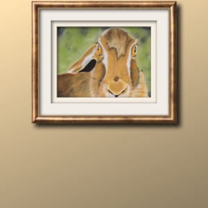 Ancient Hare Wisdom by Jules Chabeaux 