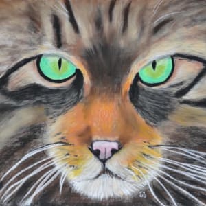 Eyes That Say It All... by Jules Chabeaux