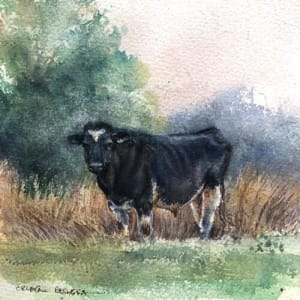 holstein bull study 