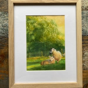 Morning Glory by Crystal Beshara 