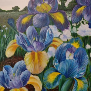 Irises by Lyuda Morhun 