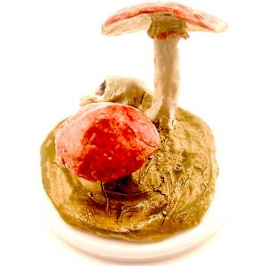 Tiny Landscape: Life Cycle by Space Monkey, Image 1.