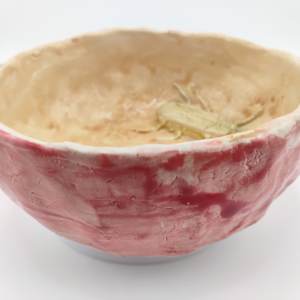 Bug Bowl by Space Monkey, Image 1.