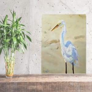 Boca White Egret 