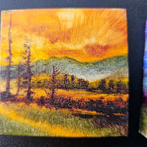 BB Kiona in Fall by C J Elsip 