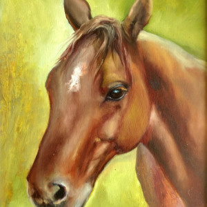 Challis by C J Elsip