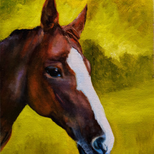 Lulu II by C J Elsip