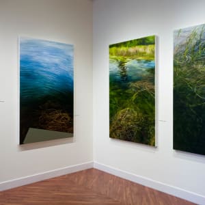 Everything Is There 3  Image: Installation view, Pennswood Gallery