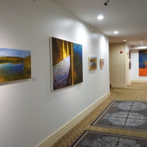 Landscape With Interjection 1 by Brooke Lanier 
