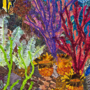Hexagon Reef 