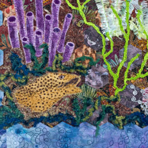 Hexagon Reef 