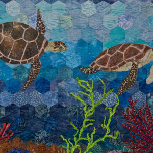 Hexagon Reef 