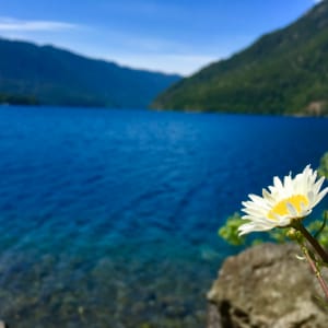 Lake Crescent, Olympic National Park by Emily Rich