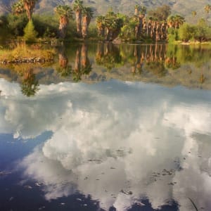 Agua Caliente, Cloud Reflection by Harold Tretbar