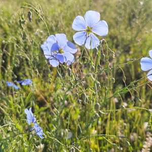 Colorful walk in the countryside, Parker, Colorado by Jerry Peek