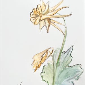 Four hand-drawn botanicals by Eva Murzaite 