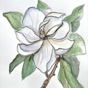 Four hand-drawn botanicals by Eva Murzaite