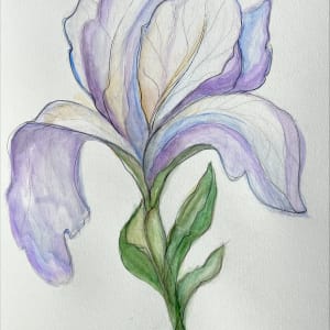 Four hand-drawn botanicals by Eva Murzaite 