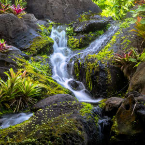 Kauai Waterfall by Larry Hanelin