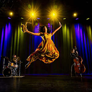 Joy by Steven Meckler