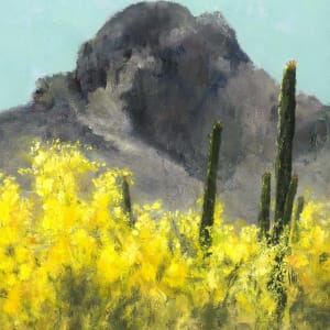 Above the Sonoran Desert, 2023 Series (5) by Nathan Saxton