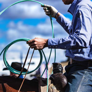 Roping Ready by James Root