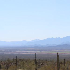 Baboquivari Mountain Range from the Desert Museum    by Stacy Law
