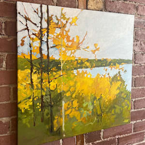 Overhead light by Holly Ann Friesen 