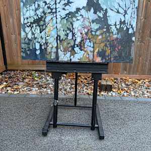 Skyward by Holly Ann Friesen, Image 1.