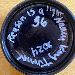Reason is a Light #36 by nancy kay turner, Image 2.