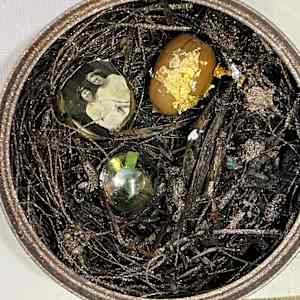 IMG_4490_dh3ruz_13 by nancy kay turner