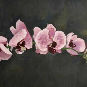 "an Orchid for a Ghost" by Matthew Davey 