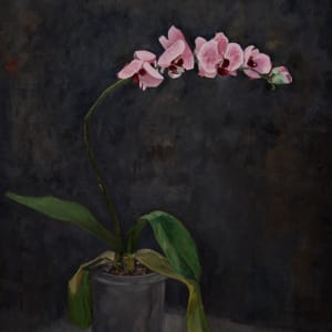 "an Orchid for a Ghost" by Matthew Davey