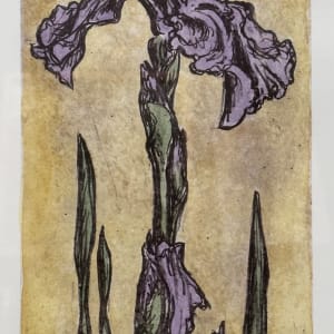 Flower Collection by Emily Eve Weinstein  Image: Purple Iris, 12"x9"x1", waterless lithography & watercolor, $165 
The actual lithograph plate was inked-up with a warm black ink. Each of these prints are unique in that no two have the same hue of purple.