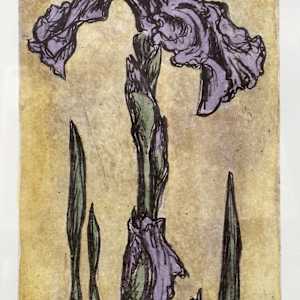 Purple Iris by Emily Eve Weinstein, Image 1.