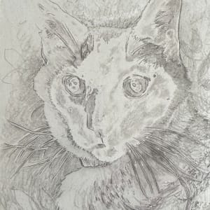 Chat aux Yeux Bleus by Emily Eve Weinstein  Image: Alluminum plate ready to go!