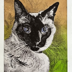 Chat aux Yeux Bleus by Emily Eve Weinstein  Image: With two colors pulled - bright version, with eyes painted in watercolor.