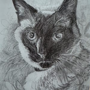 Chat aux Yeux Bleus by Emily Eve Weinstein  Image: Drawing on alluminum plate was done in ink and pencil