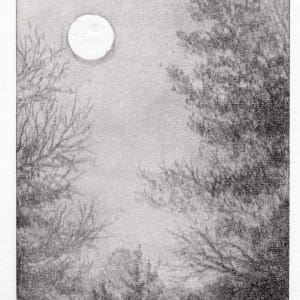 Series of waterless lithography by Emily Eve Weinstein  Image: Late Winter, pale print with moon stencil