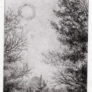 Series of waterless lithography by Emily Eve Weinstein  Image: Late Winter, plate as is